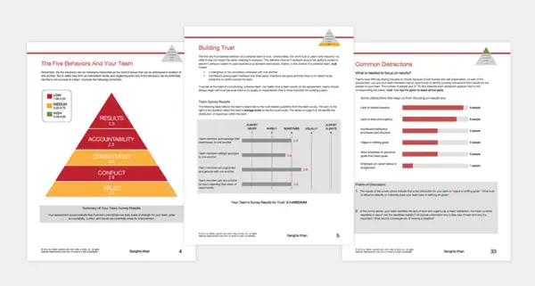 The Five Behaviors of a Cohesive Team®